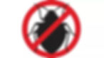 our mattress protectors stop bed bugs